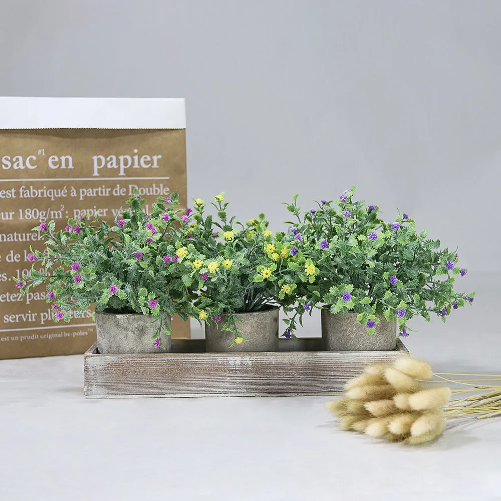 Artificial Plants Starry Sky Plastic Flower Fake Green Plant